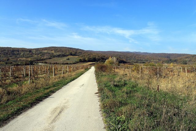 From Bratislava: Devín Castle and Small Carpathians Half Day